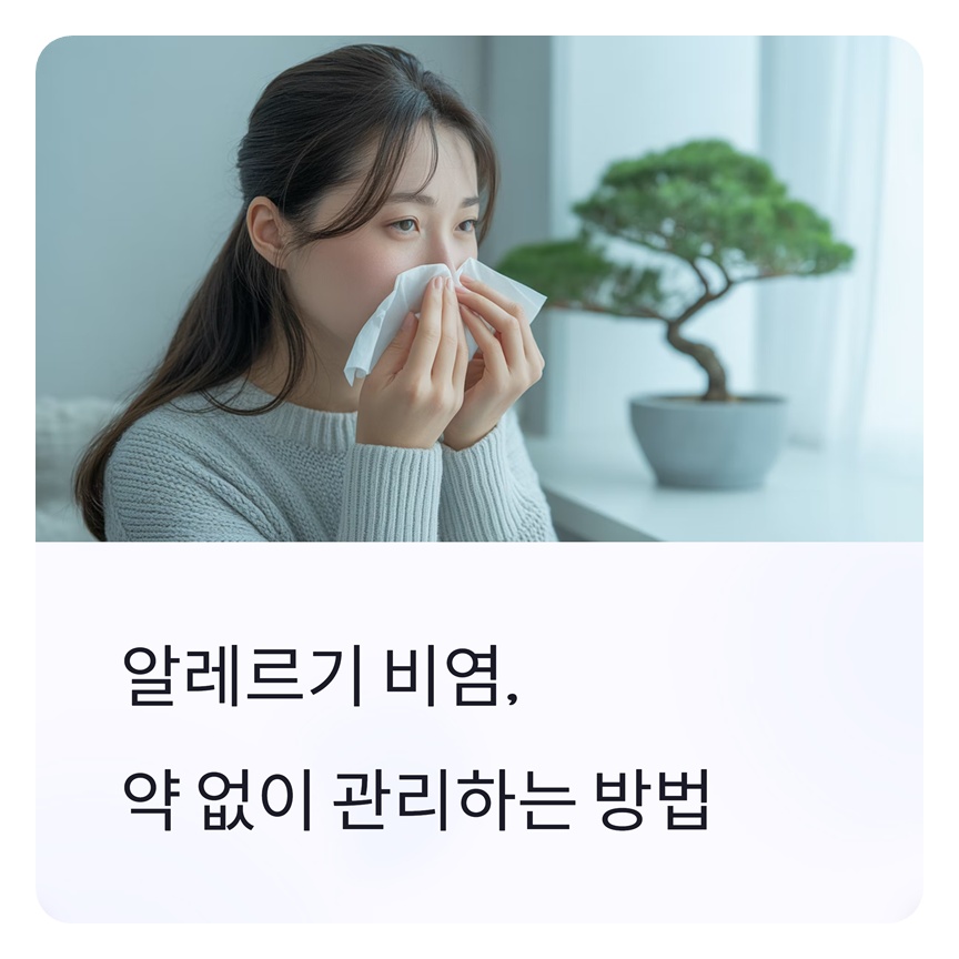 알레르기 비염 약 안쓰고 고치는 방법