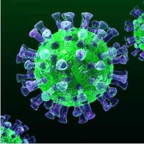 (좌)코로나/(중간)독감(우)/감기 바이러스