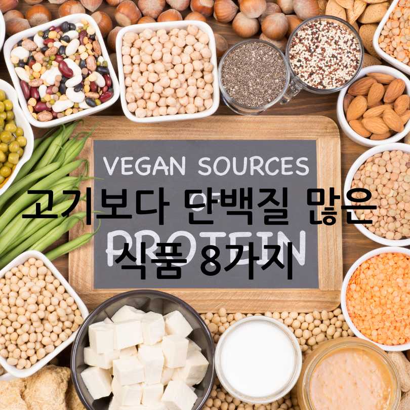 고기보다 단백질이 많은 음식