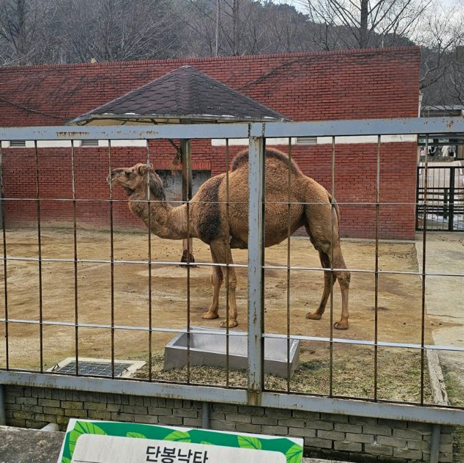 우치공원 동물원