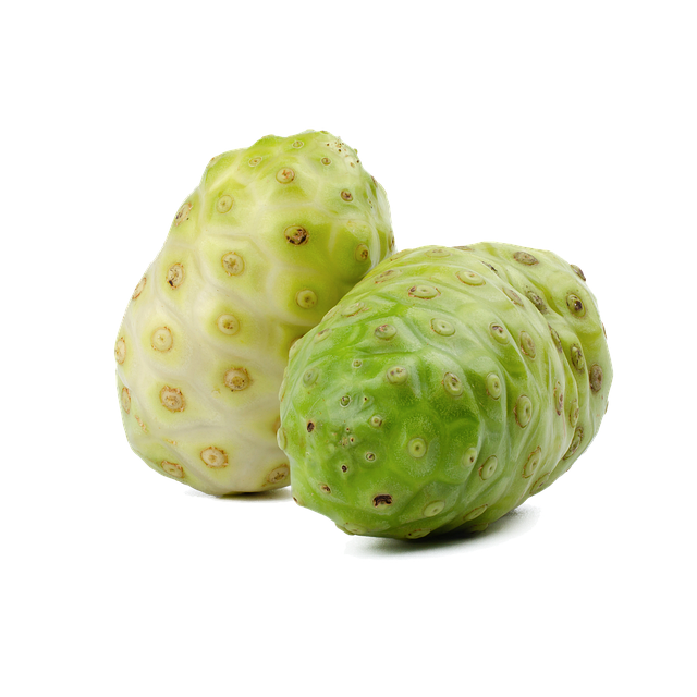 노니 효능 및 주의사항