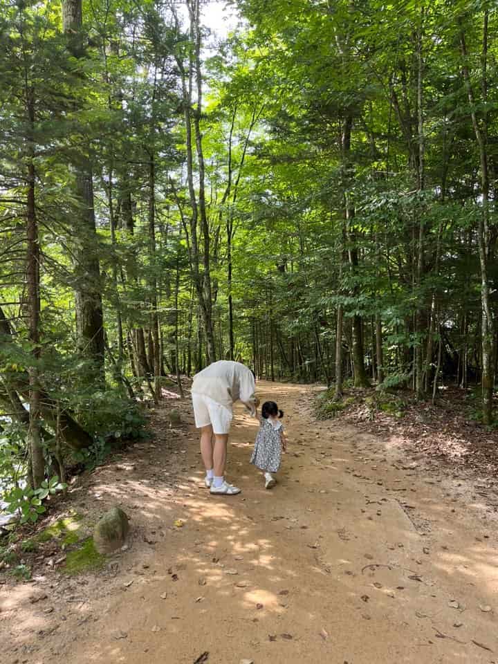 월정사 전나무 숲길 아기랑