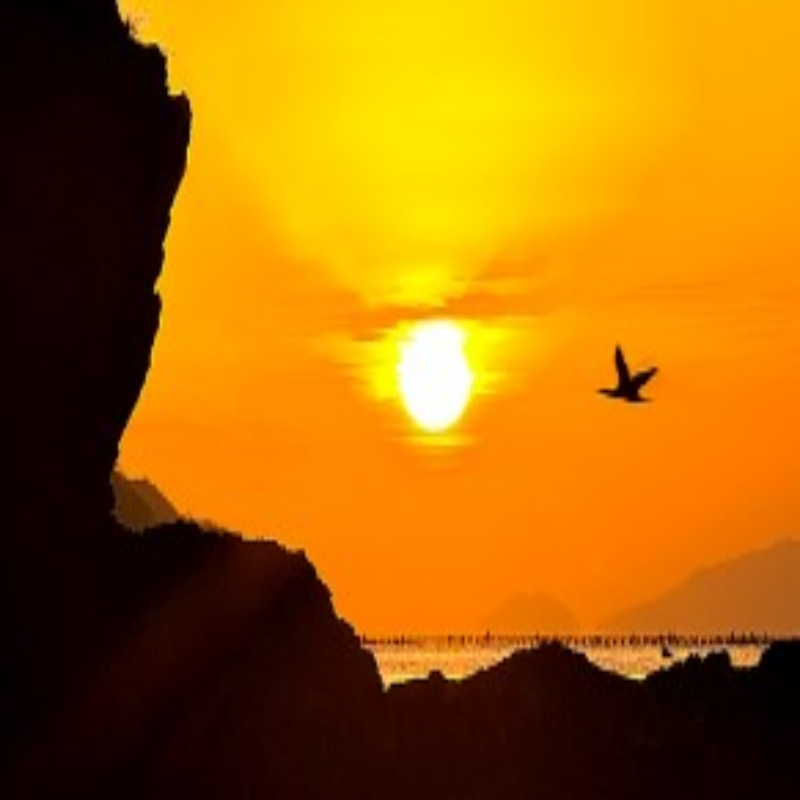 새해 해돋이 명소 행사 일정 확인 해남 땅끝마을