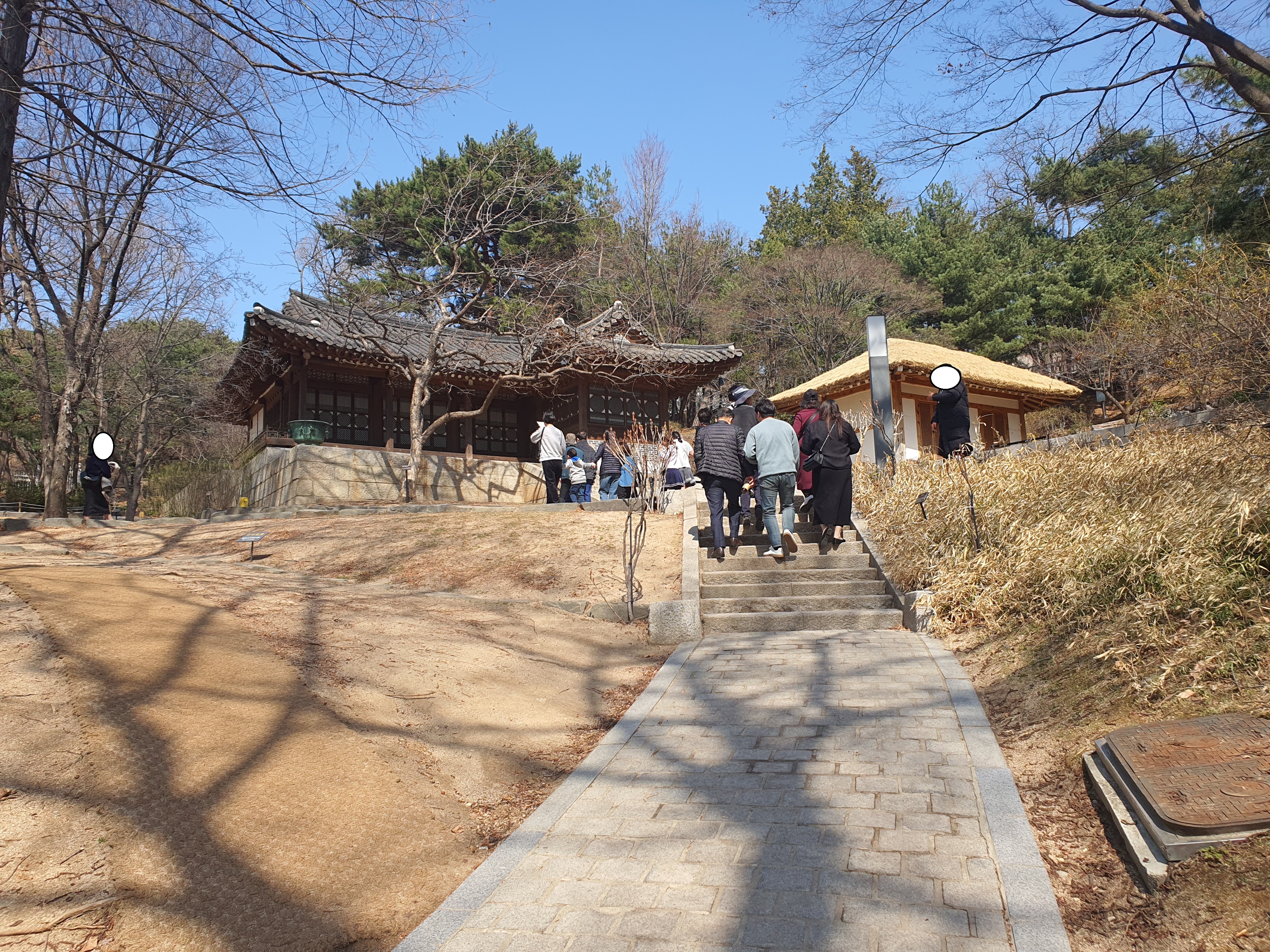 청와대