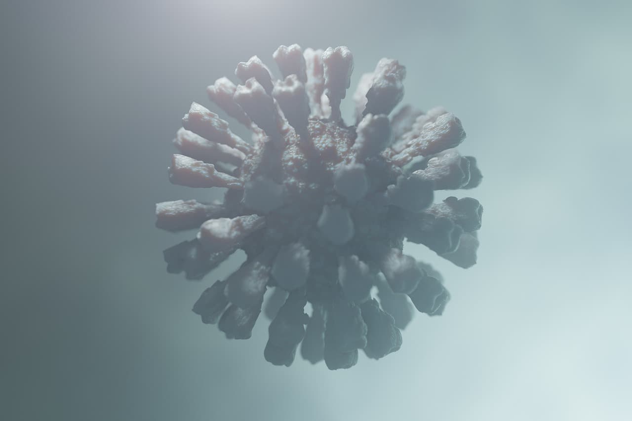 희귀질환을 다룬 영화와 책, 그들이 전하는 메시지