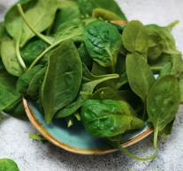 골다공증에 좋은 음식 영양제 식단