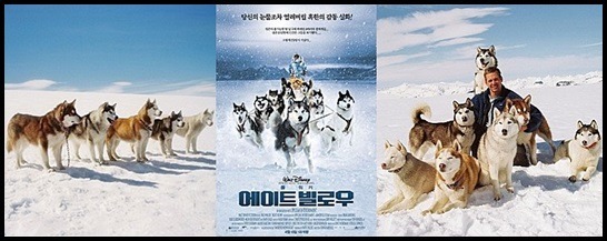 에이트빌로우 구글 영화 포스터