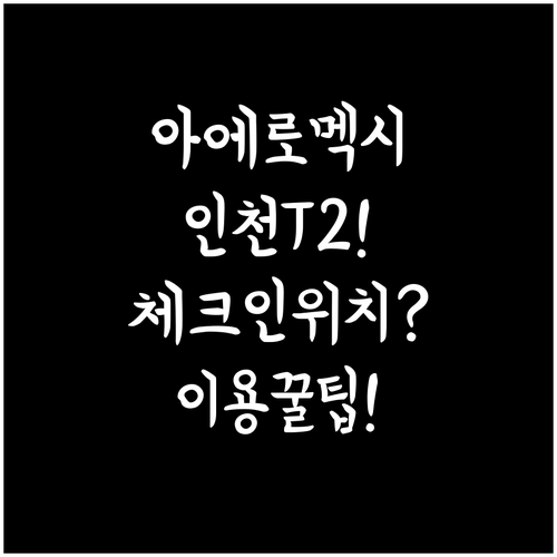 아에로멕시코 인천공항 제2터미널 이용..