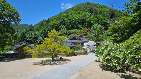 정선 정암사 : 수마노탑의 신비와 적멸보궁의 평온을 찾아서
