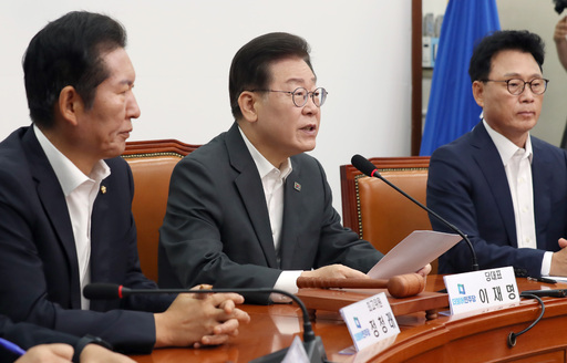 이재명 더불어민주당 대표