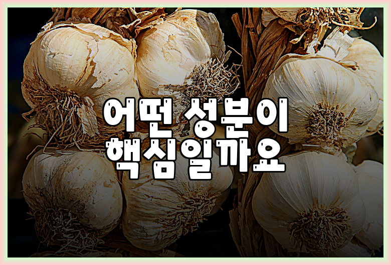 어떤 성분이 핵심일까요
