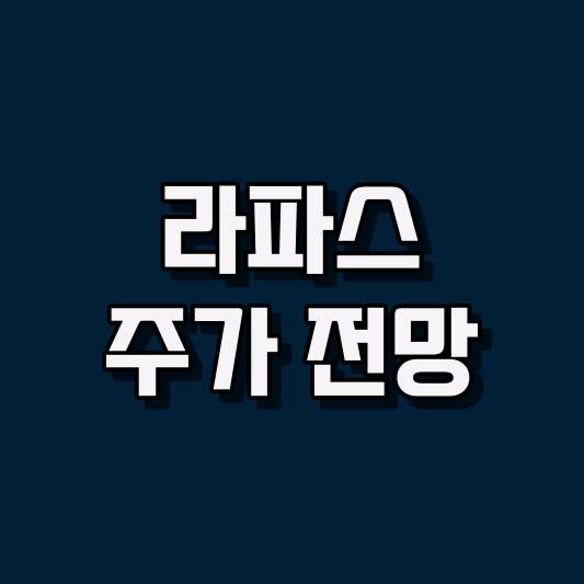 라파스 주가 전망