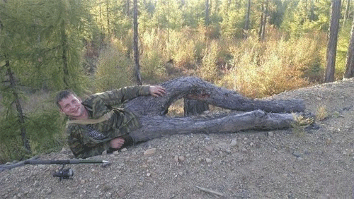 흔한 착시 현상 jpg
