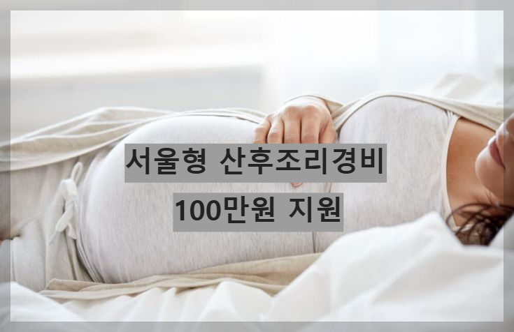 산후조리경비 100만원 지원