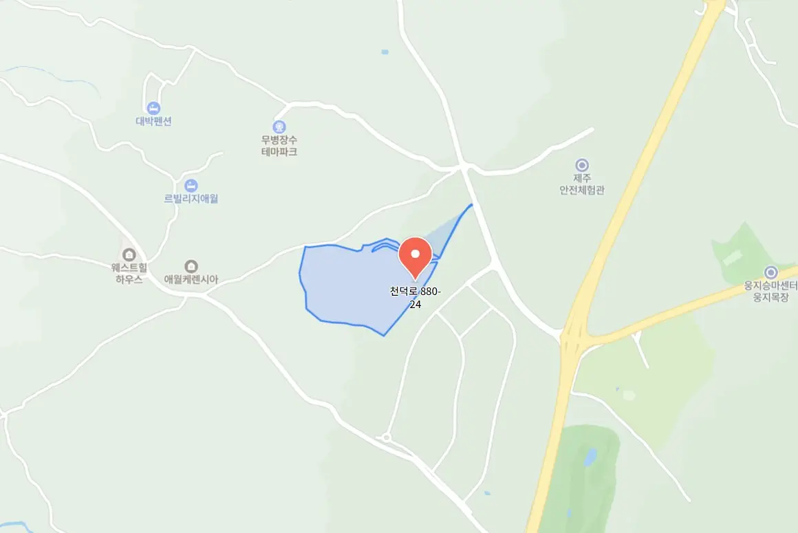 구팔일 댕댕이 레이싱!