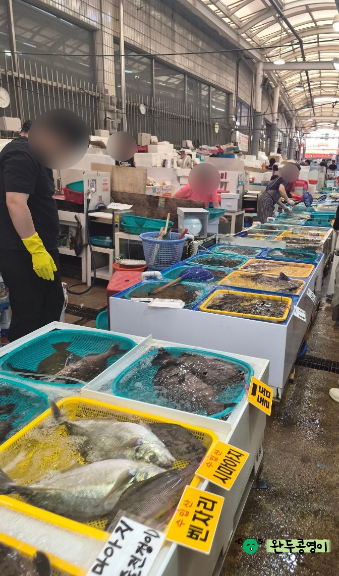 통영 중앙시장 해산물