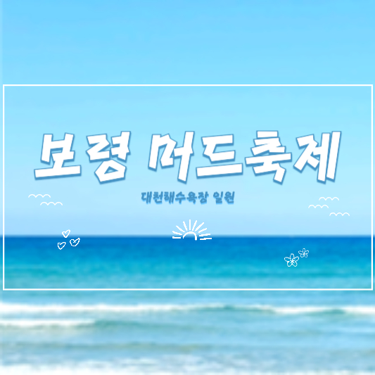 보령 머드축제