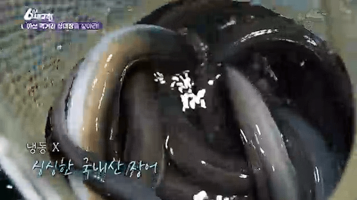 충남 아산 보리 호두과자 장어구이 한우식당 택배 연락처 위치 정보