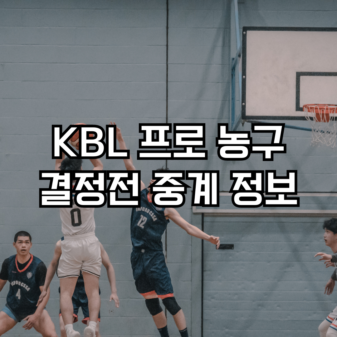KBL 프로 농구 챔피언 결정전 중계 방송 고화질 시청 방법
