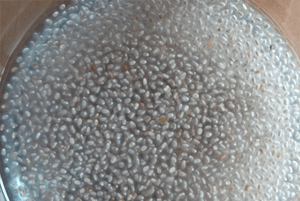 치아시드 효능06