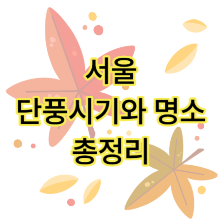 서울-단풍-명소