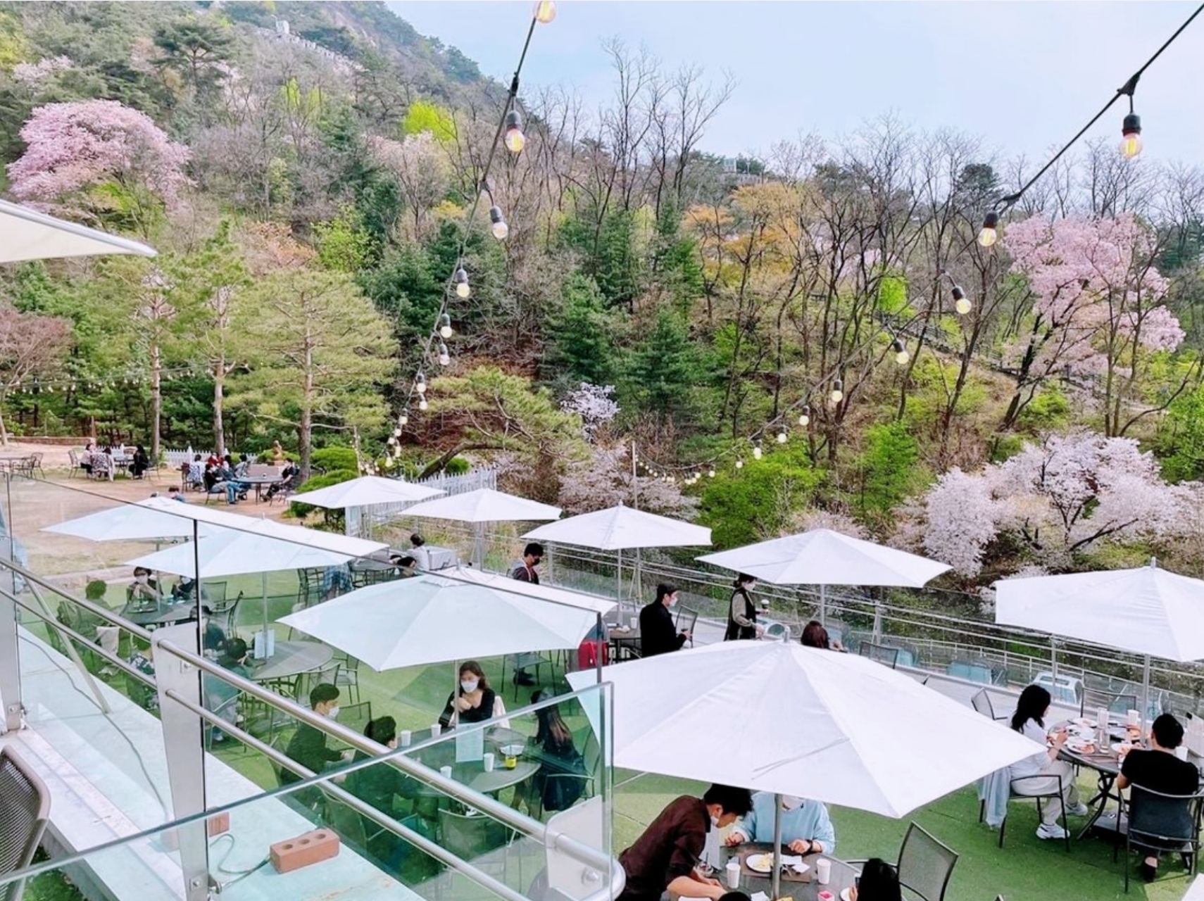 아델라베일리