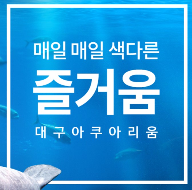 대구아쿠아리움