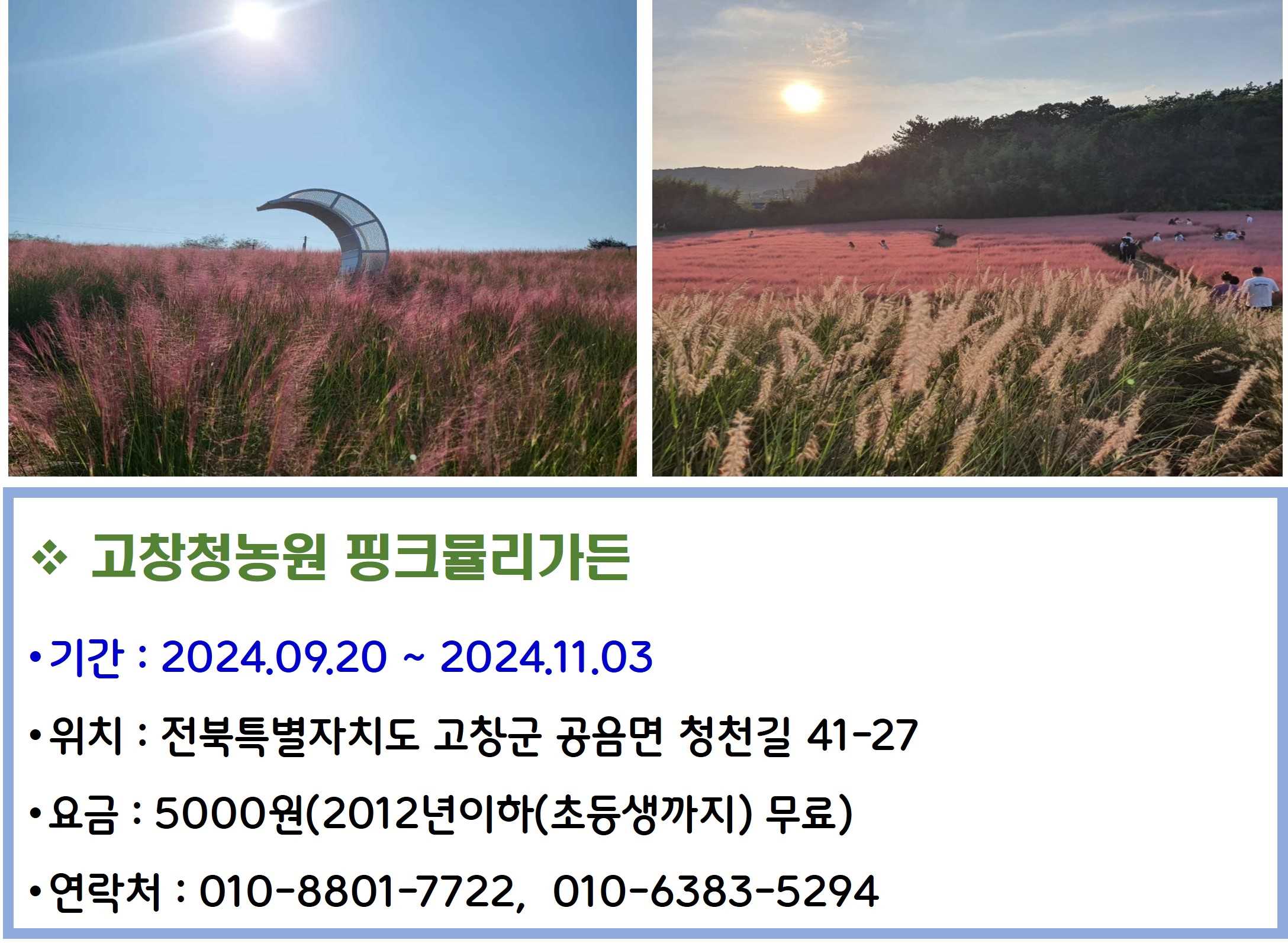 고창청농원 핑크뮬리가든