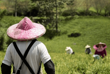 대만의 매력과 특징&amp;#44; 축제 소개