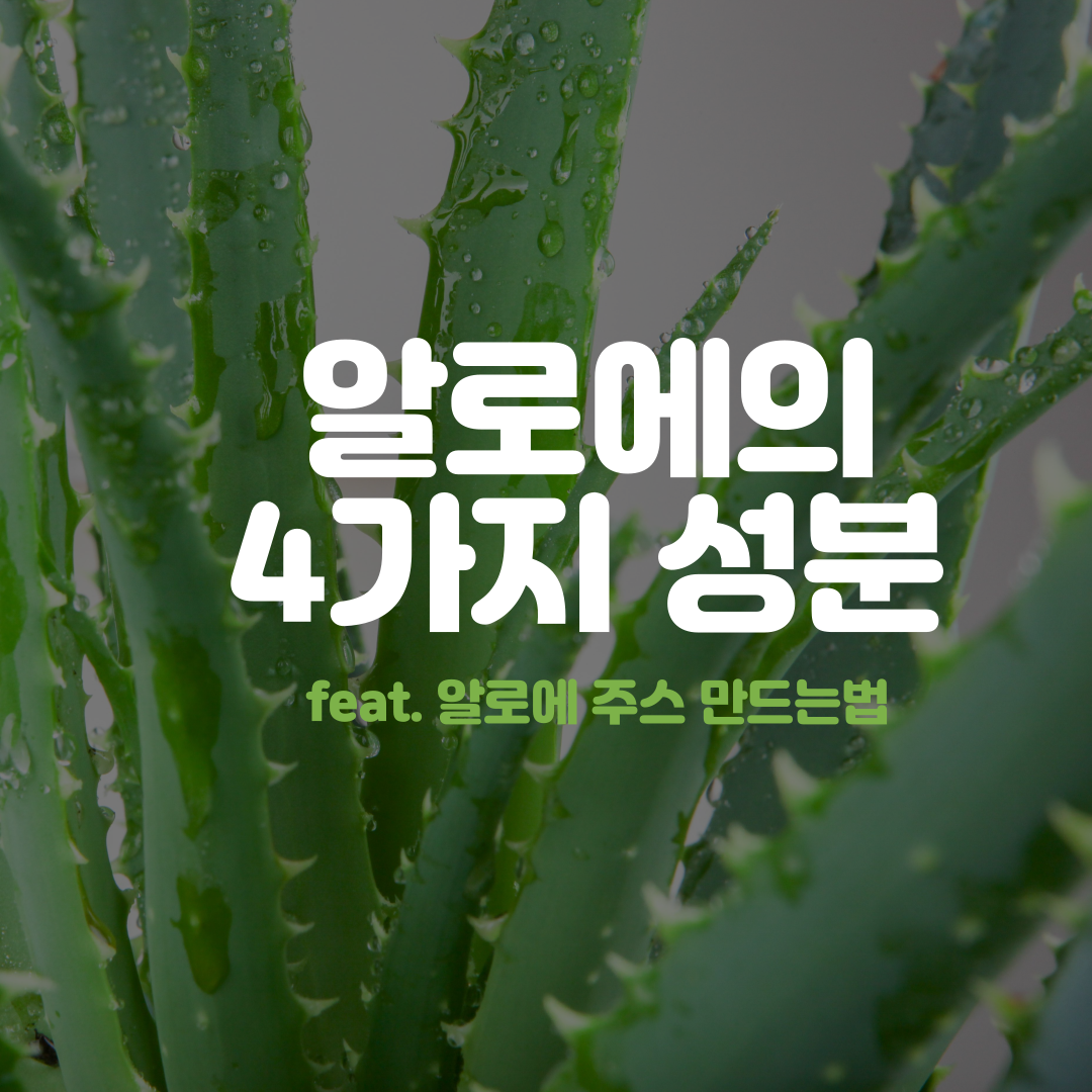 알로에베라겔