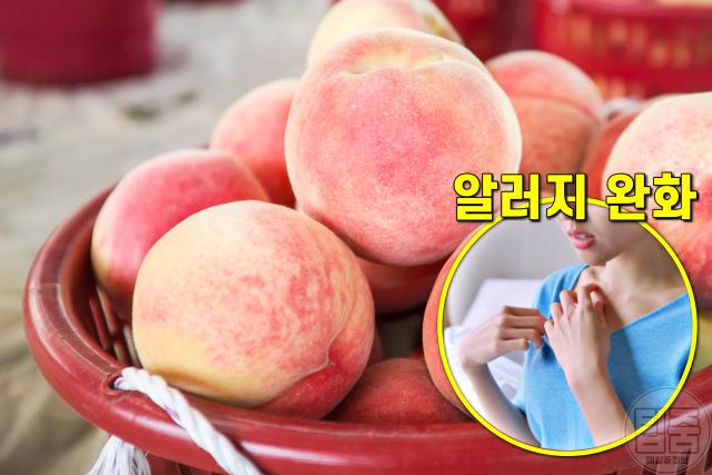 복숭아 효능 6가지,알레르기에 좋은음식,팁줌