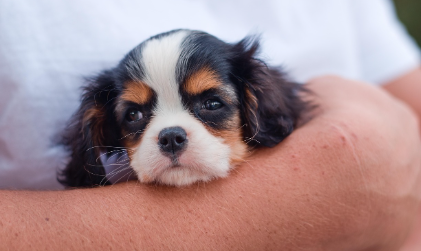 보습제 사용 시 주의사항 관련 사진