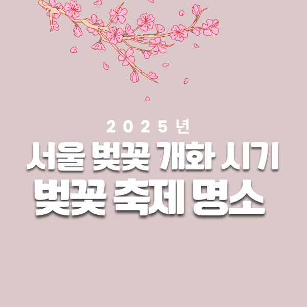 2025년 서울 벚꽃 개화 시기 벚꽃 축제 명소