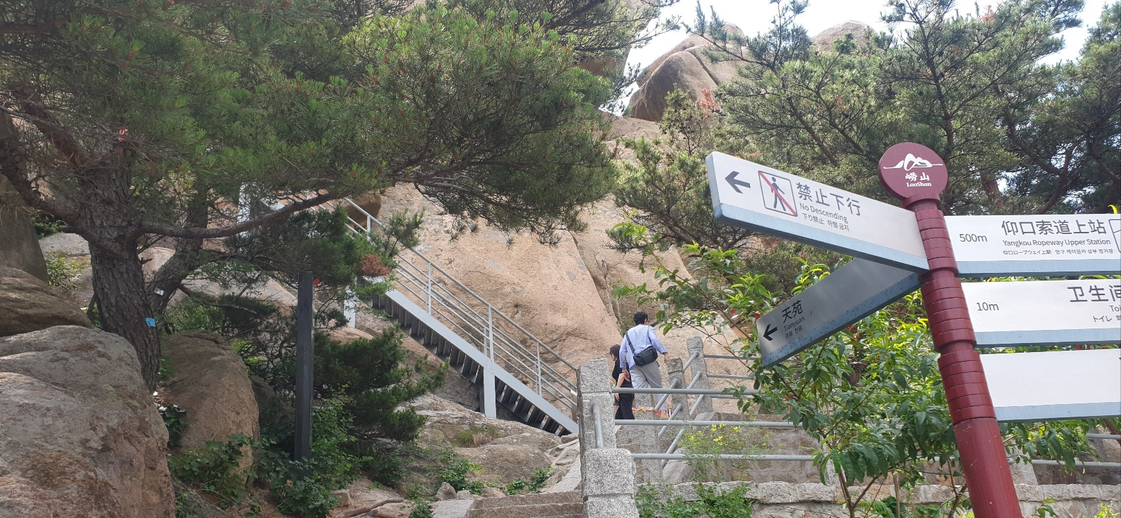 노산