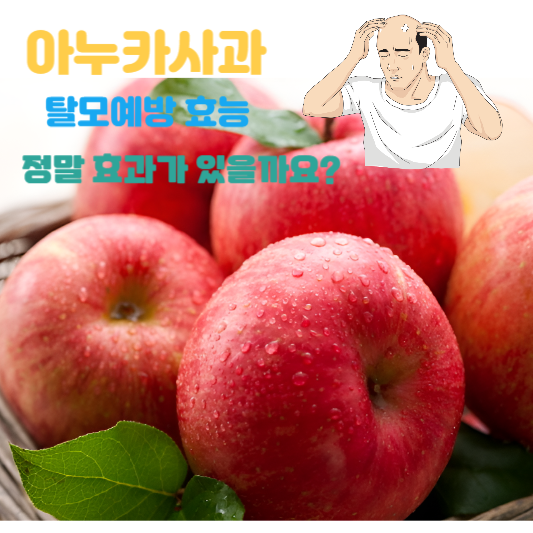아누카사과 1