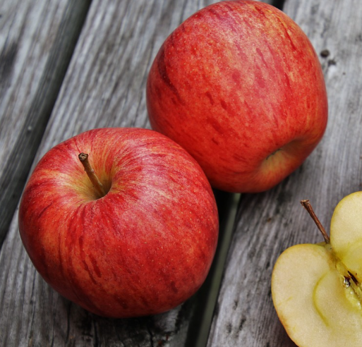 9~10월 가을 제철 과일 사과