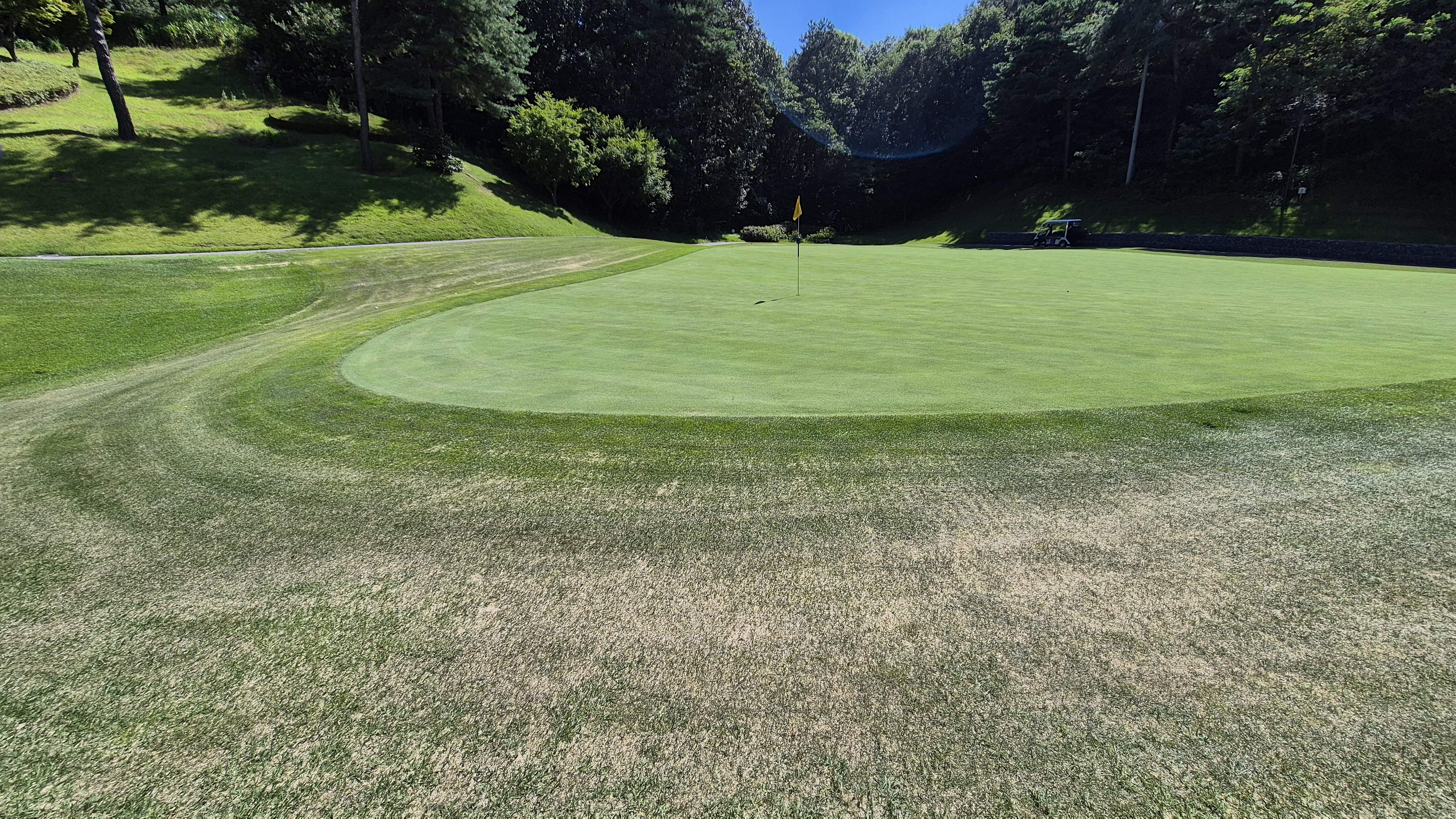 골프존카운티 화랑 라운드 후기