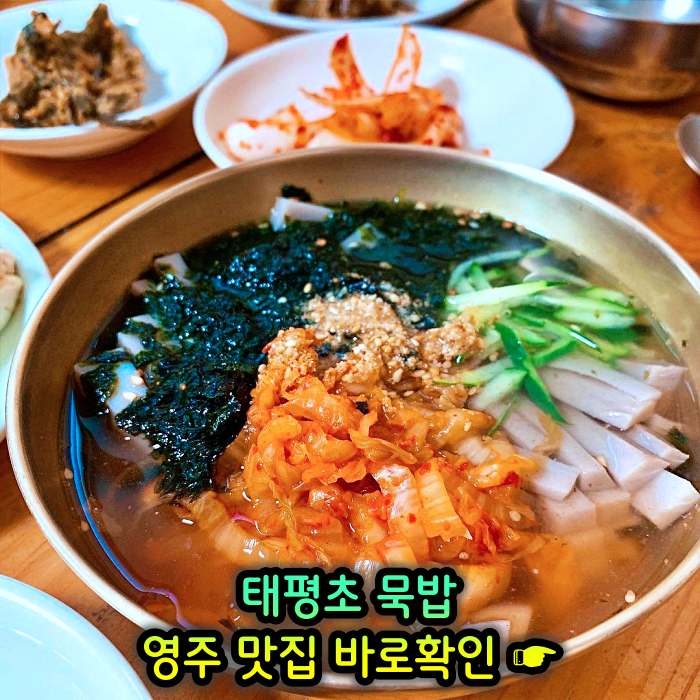 경북 영주 맛집 메밀묵 돼지고기 얼큰 양념 찌개 태평초