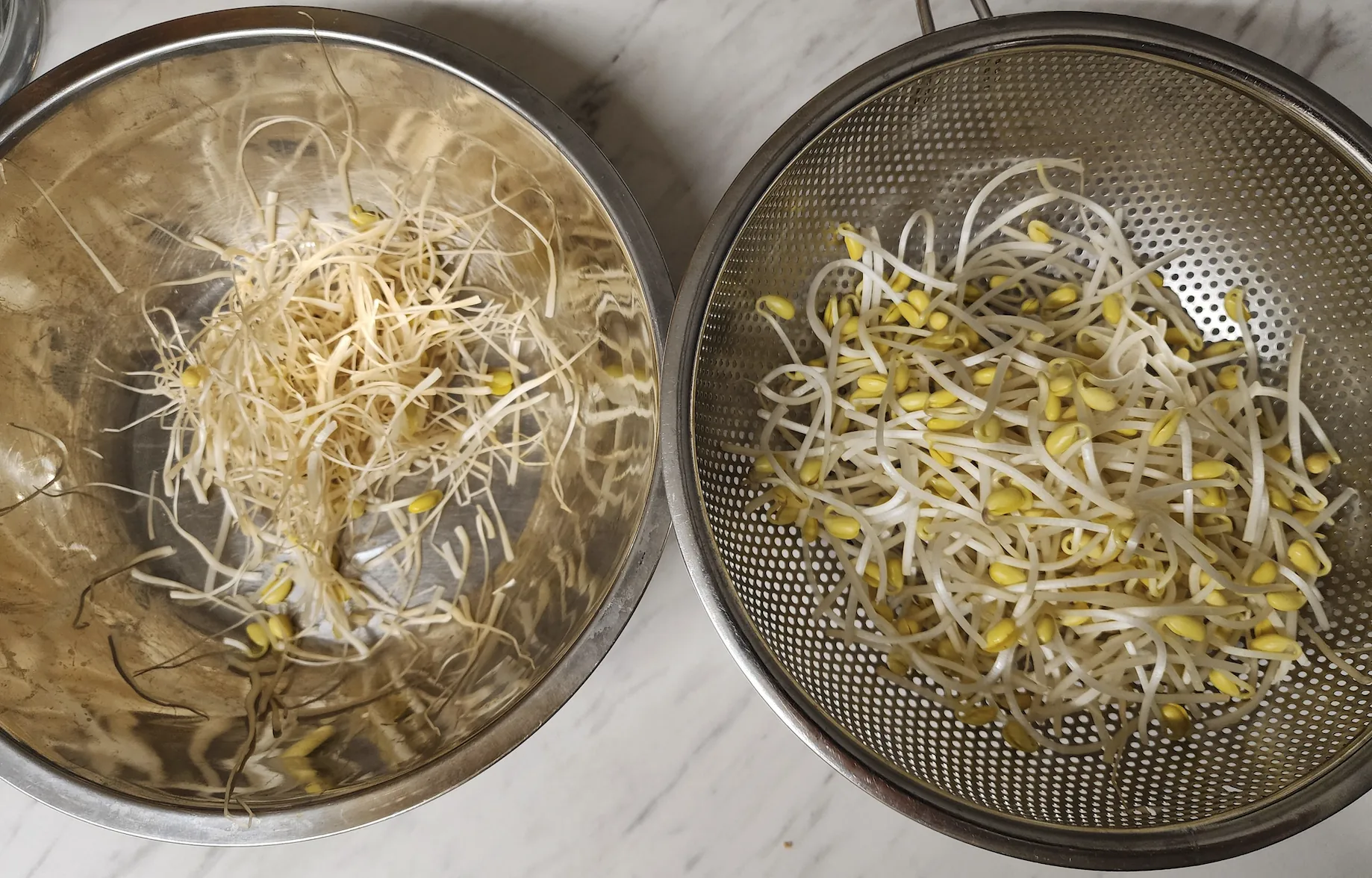 두부황태콩나물국-콩나물다지기