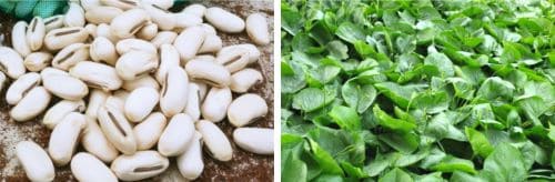 작두콩-재배법-종자-파종방법-모종-심는방법-정식방법