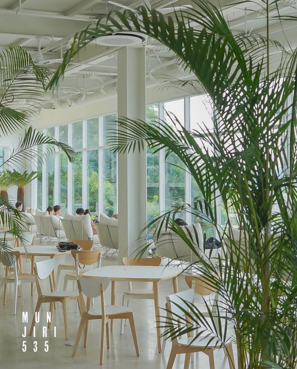 오늘N 소문난 그곳N 파주 식물원 감성 카페 문지리535 파주여행 오늘N2499회