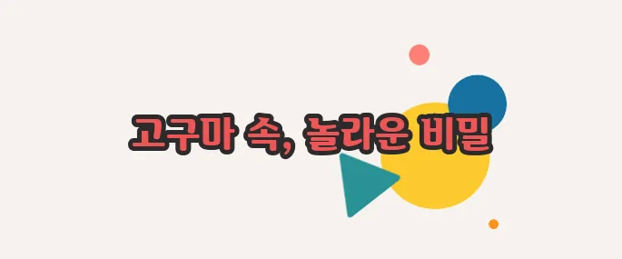 고구마 칼로 한번 열어봐야겠네요