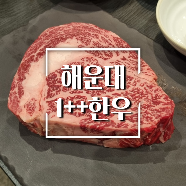 해운대규우정