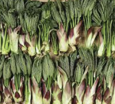 엄나무순 효능 가격 요리법 장아찌 담그는법 총정리(최신)