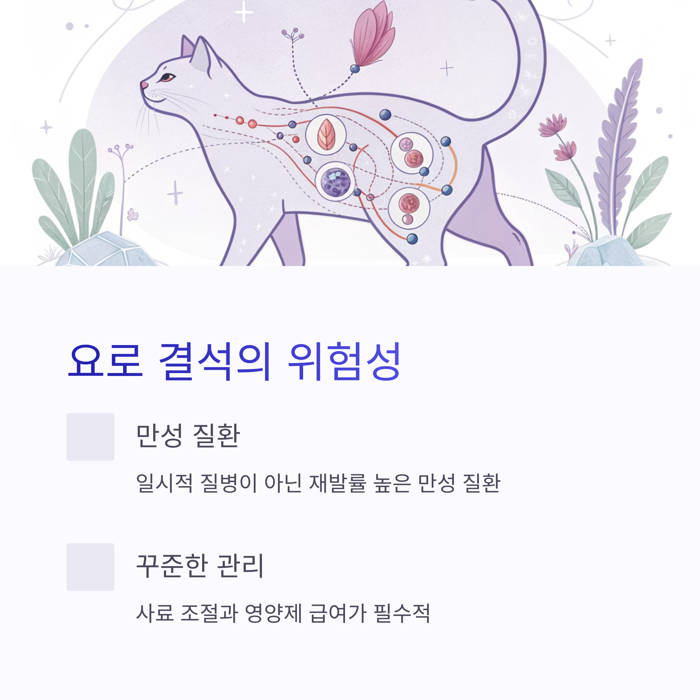 요로 결석의 위험성