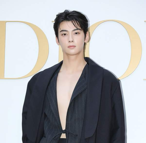 차은우 조세심판 청구 이유: 국세청 130억 세금 완납, 연예인 1인 기획사 실질과세 쟁점 정밀 분석