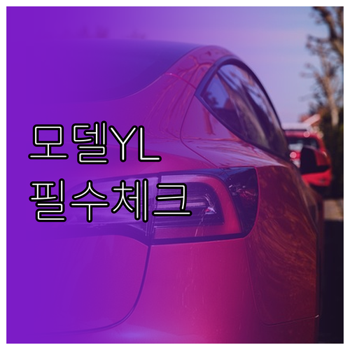 테슬라 모델 YL 예약 체크리스트 및..