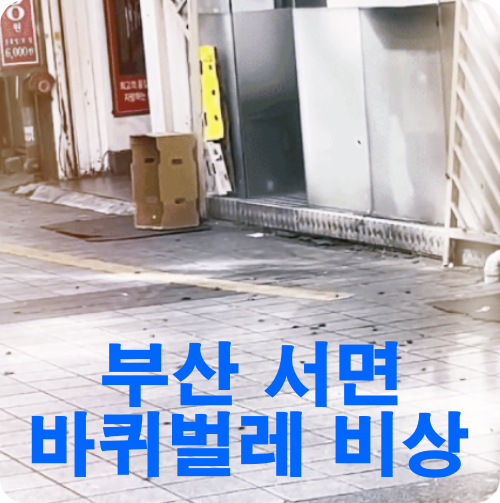 부산-서면-바퀴벌레-비상