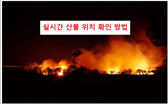 실시간 산불 위치 확인 방법