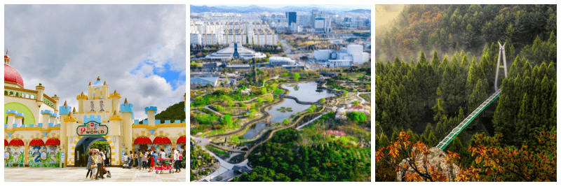 오월드, 한밭수목원, 장태산 자연휴양림 사진